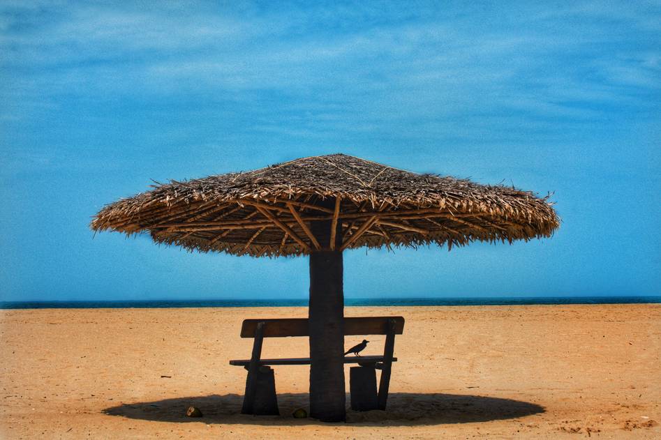 Writer testing sturdy beach umbrella on sunny coast