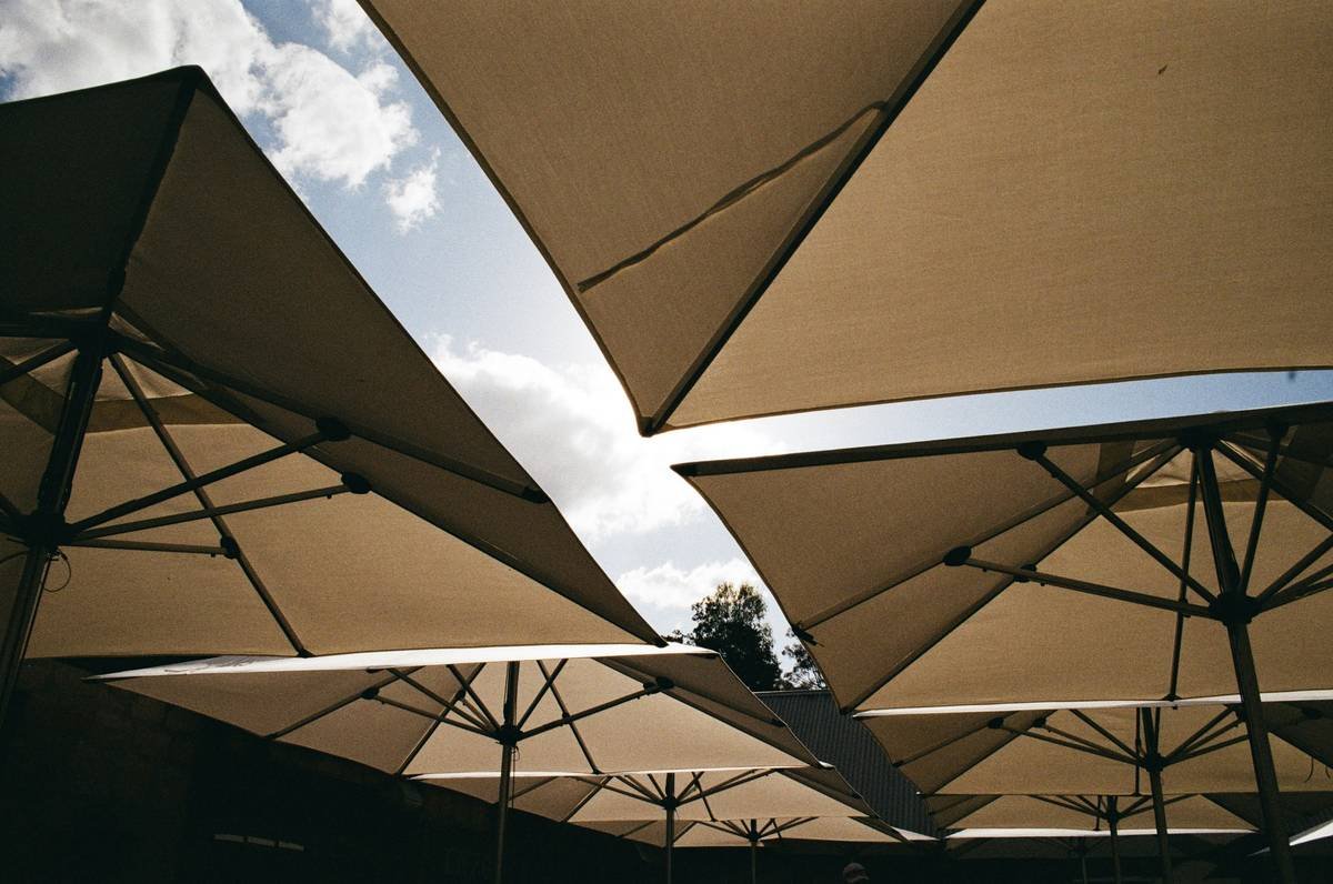 Pentax lx 35mm film camera Kodak UltraMax 400 Australia, Hunter valley